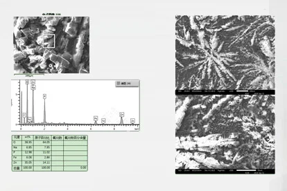 Imagine microscopică electronică